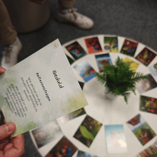 KRAFTKARTEN - Froschperspektiven (Reflexion-Kartenset) – Bild 8