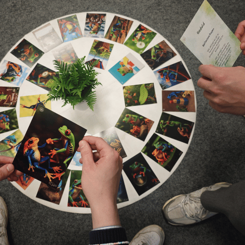 KRAFTKARTEN - Froschperspektiven (Reflexion-Kartenset) – Bild 9